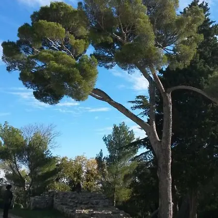 Chez L'habitant * Nîmes